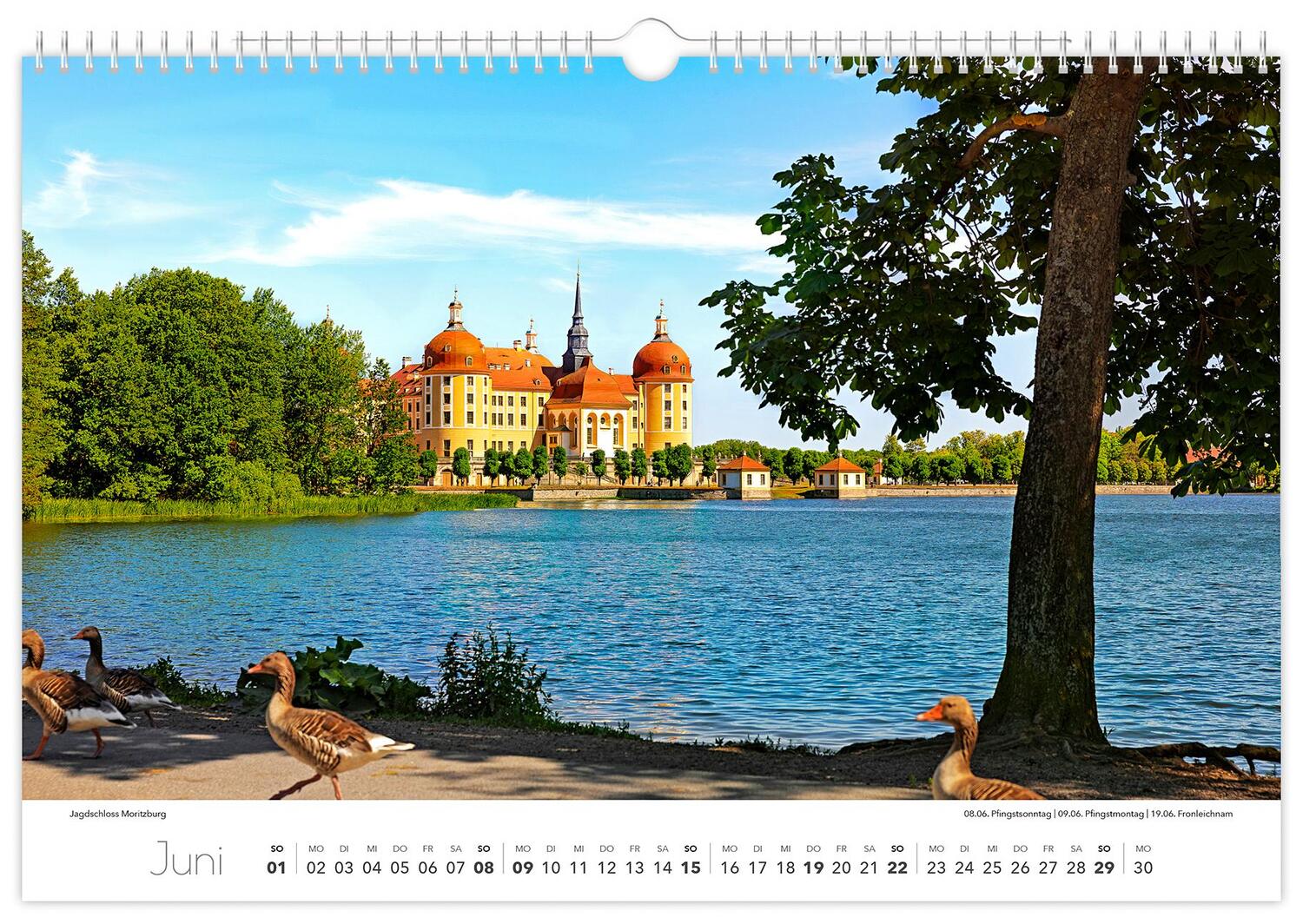 Bild: 9783910680500 | Kalender Dresden und Umgebung 2025 | 45 x 30 cm weißes Kalendarium