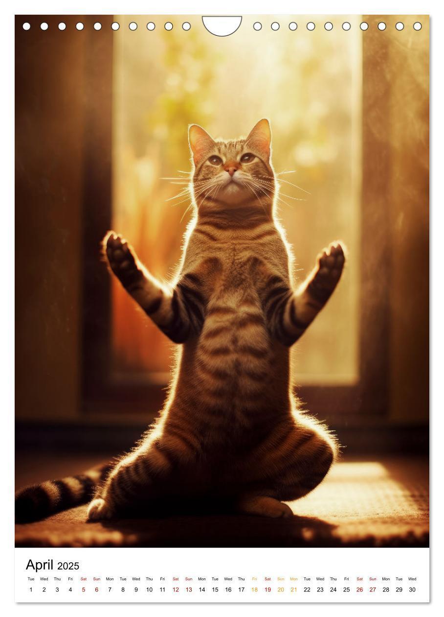 Bild: 9781325998203 | Meow Yoga (Wall Calendar 2025 DIN A4 portrait), CALVENDO 12 Month...