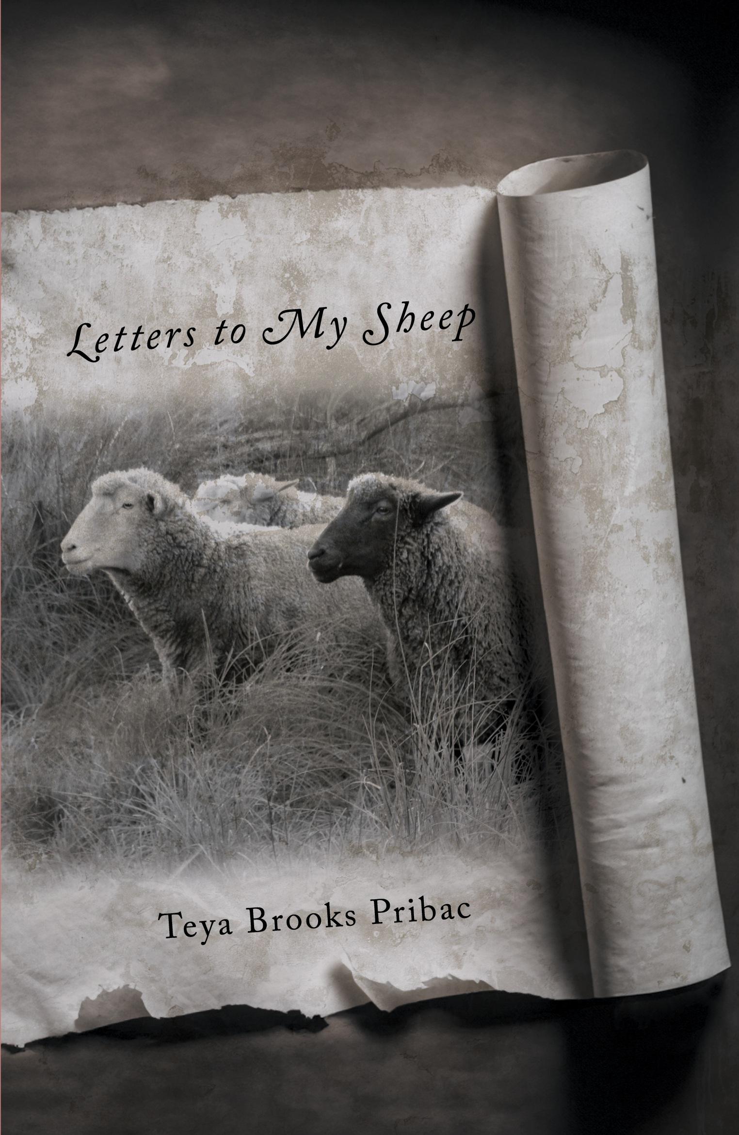 Cover: 9780645374735 | Letters to My Sheep | Teya Brooks Pribac | Taschenbuch | Englisch