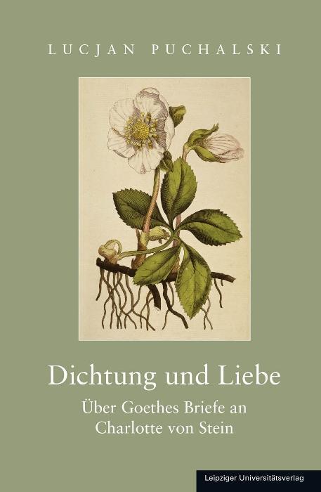 Cover: 9783960234234 | Dichtung und Liebe | Über Goethes Briefe an Charlotte von Stein | Buch