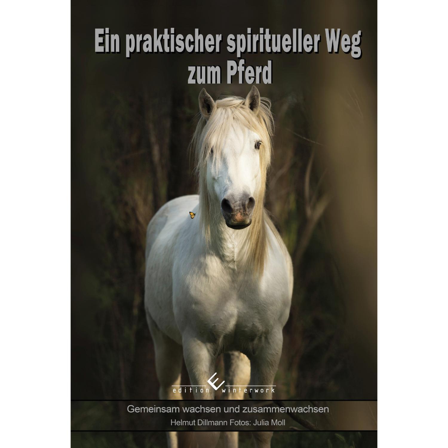 Cover: 9783864689680 | Ein praktischer spiritueller Weg zum Pferd | Helmut Dillmann | Buch