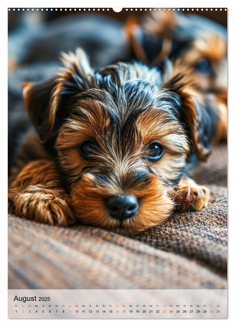 Bild: 9783383771767 | Yorkshire Terrier - ein Hund mit starkem Charakter (hochwertiger...