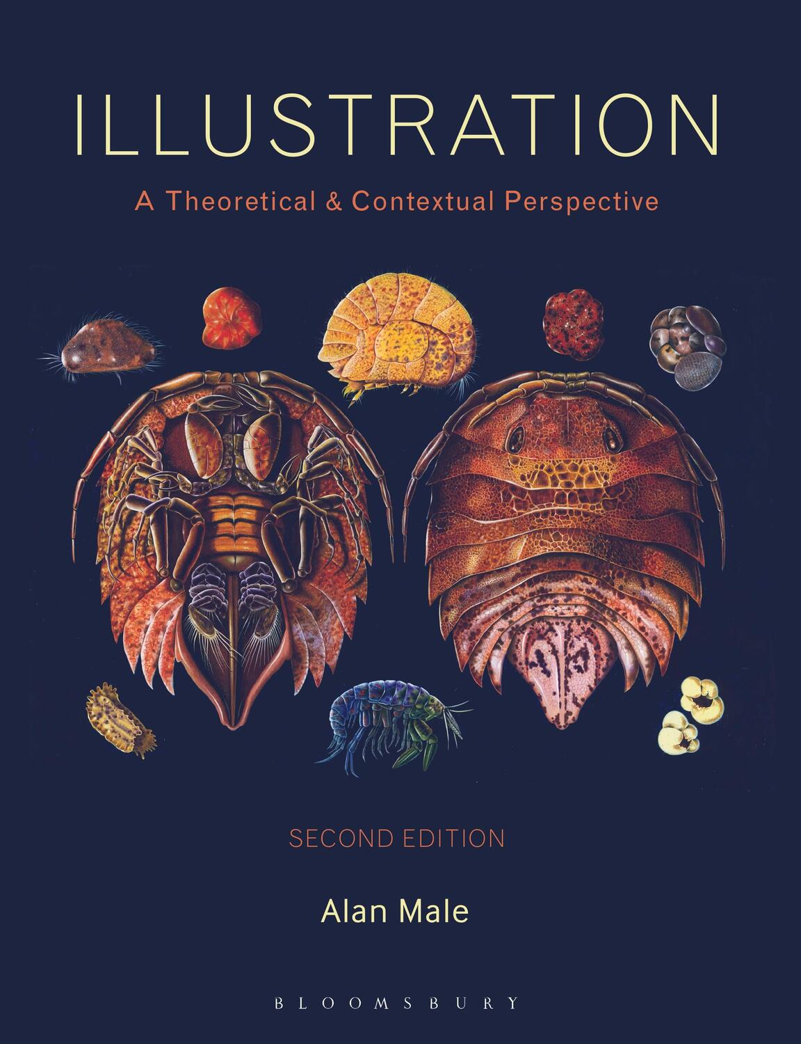 Cover: 9781474263023 | Illustration | A Theoretical and Contextual Perspective | Male | Buch