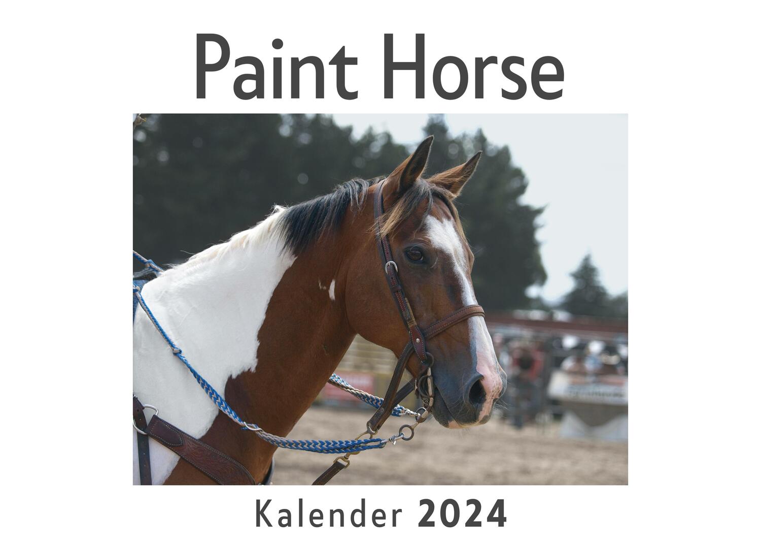 Cover: 9783750556782 | Paint Horse (Wandkalender 2024, Kalender DIN A4 quer,...