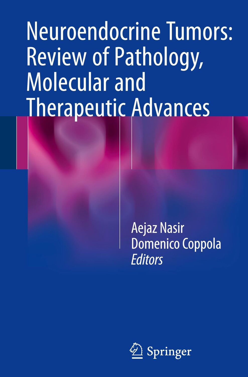 Cover: 9781493934249 | Neuroendocrine Tumors: Review of Pathology, Molecular and...