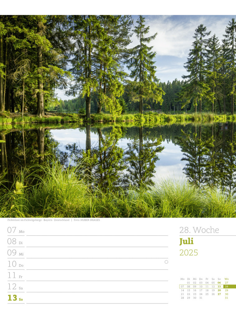 Bild: 9783838425979 | Unser Wald - Wochenplaner Kalender 2025 | Ackermann Kunstverlag | 2025