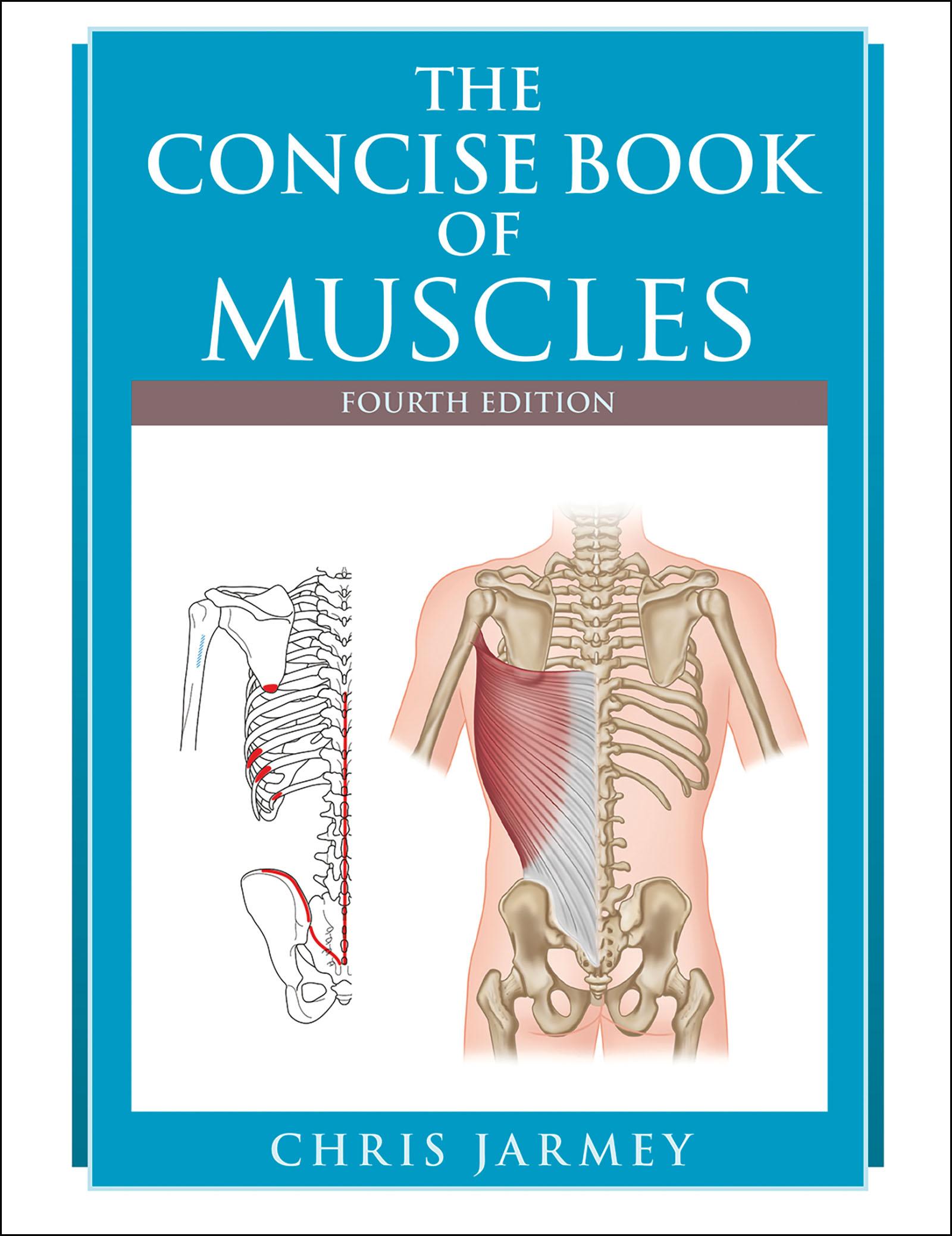 Cover: 9781905367863 | The Concise Book of Muscles Fourth Edition | Chris Jarmey | Buch