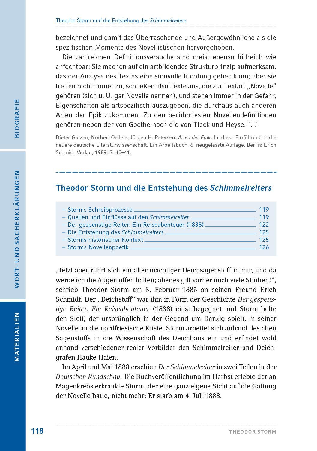 Bild: 9783872915122 | Der Schimmelreiter | Novelle | Theodor Storm | Taschenbuch | 160 S.