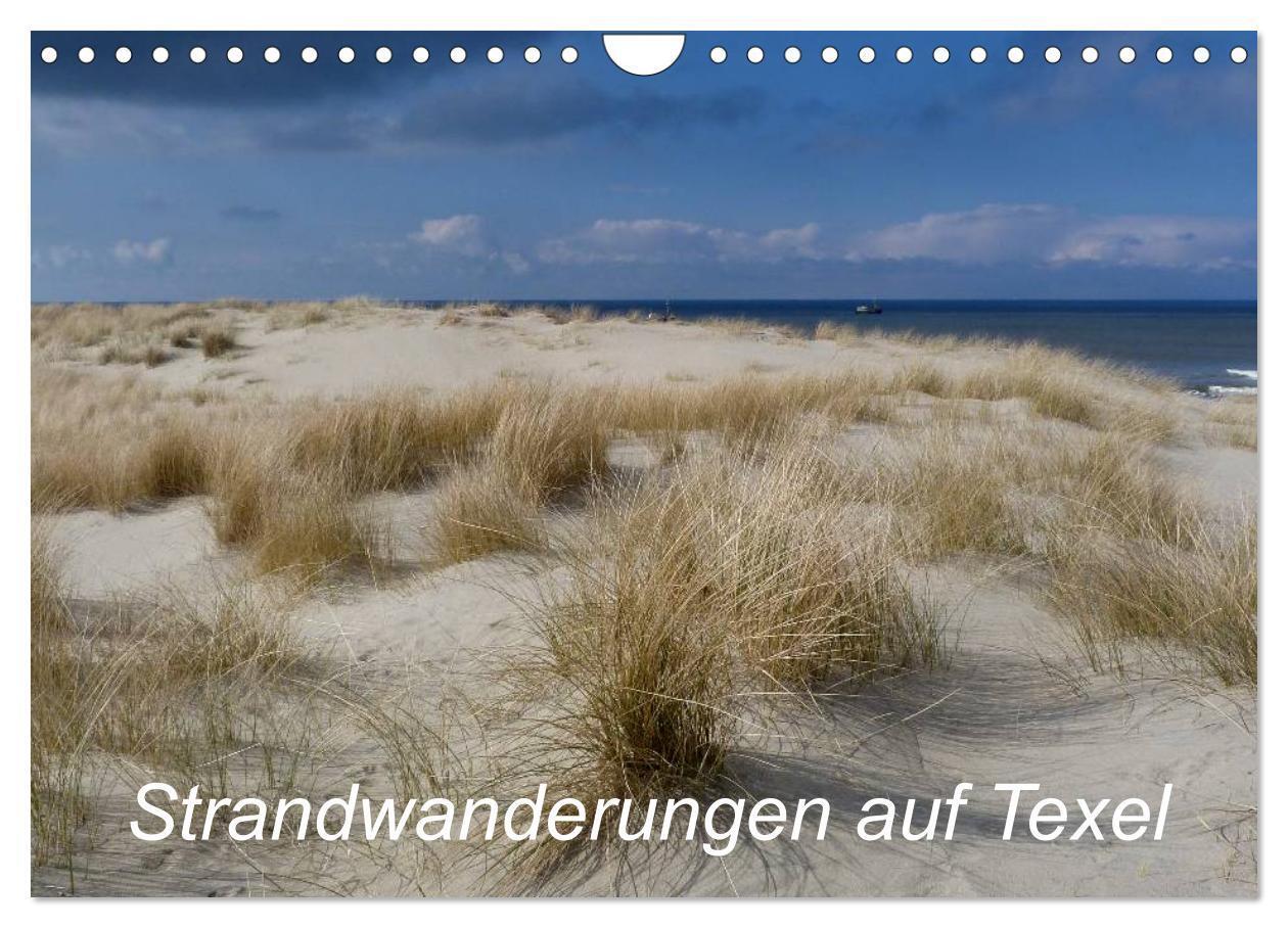 Cover: 9783435763597 | Strandwanderungen auf Texel (Wandkalender 2025 DIN A4 quer),...