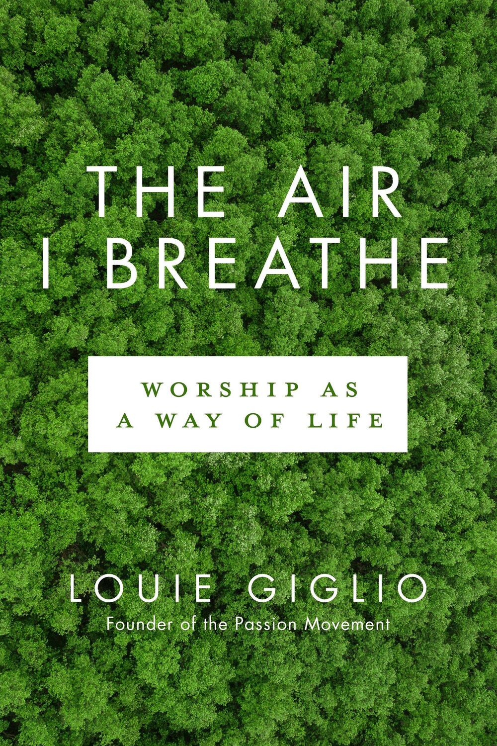 Cover: 9780735290716 | The Air I Breathe: Worship as a Way of Life | Louie Giglio | Buch