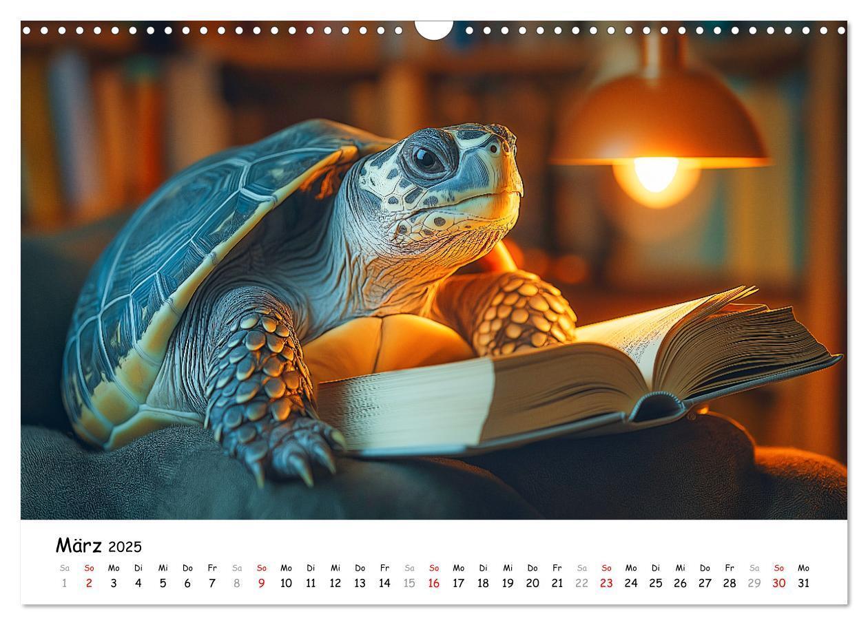 Bild: 9783457215814 | CHILL MAL - Entspannte Schildkröten beim Faulenzen (Wandkalender...