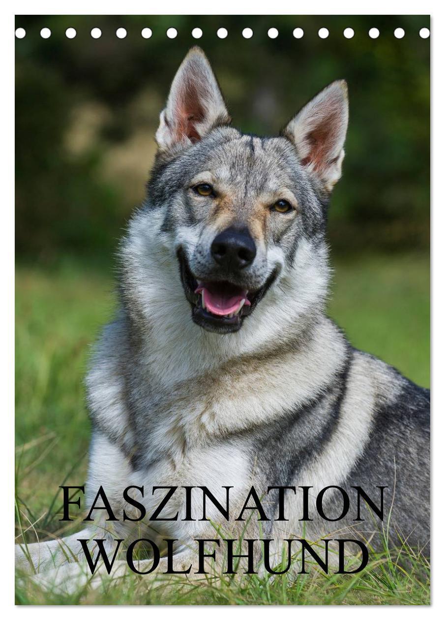 Cover: 9783383427381 | Faszination Wolfhund (Tischkalender 2024 DIN A5 hoch), CALVENDO...