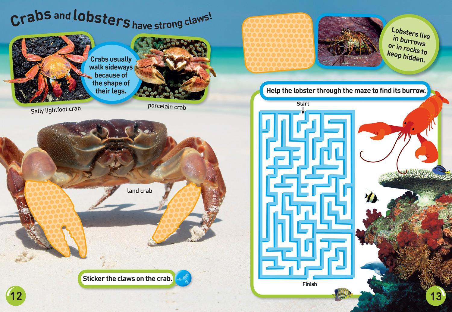 Bild: 9781426334238 | Ocean Animals Sticker Activity Book | Over 1,000 Stickers! | Buch