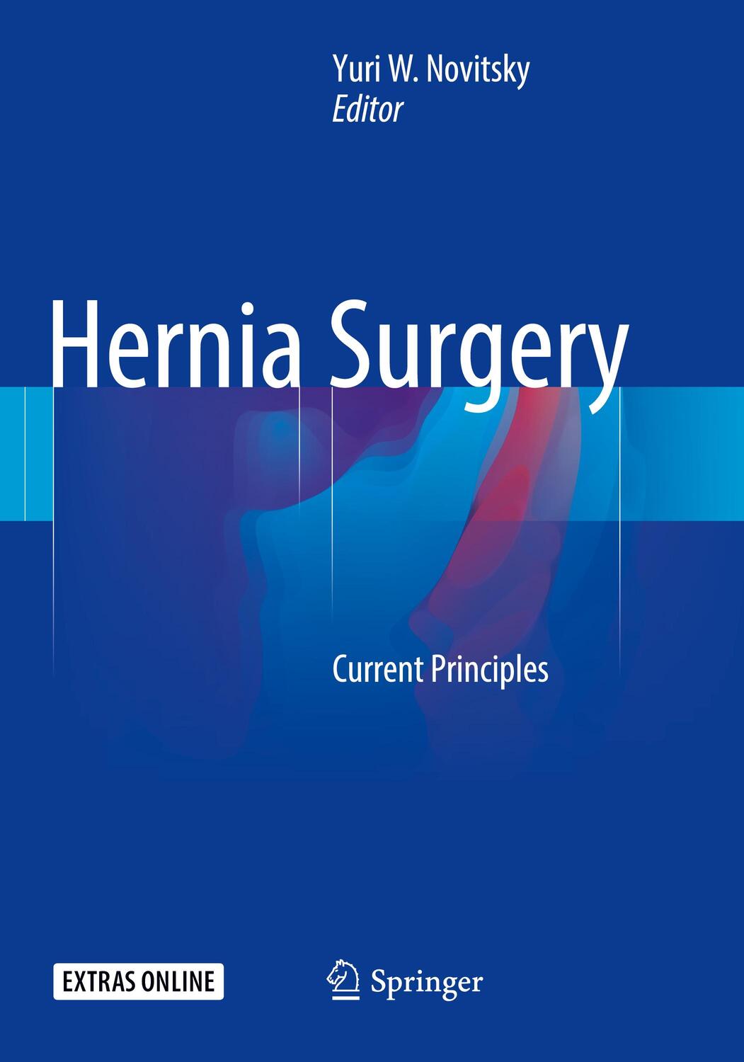 Cover: 9783319801490 | Hernia Surgery | Current Principles | Yuri W. Novitsky | Taschenbuch