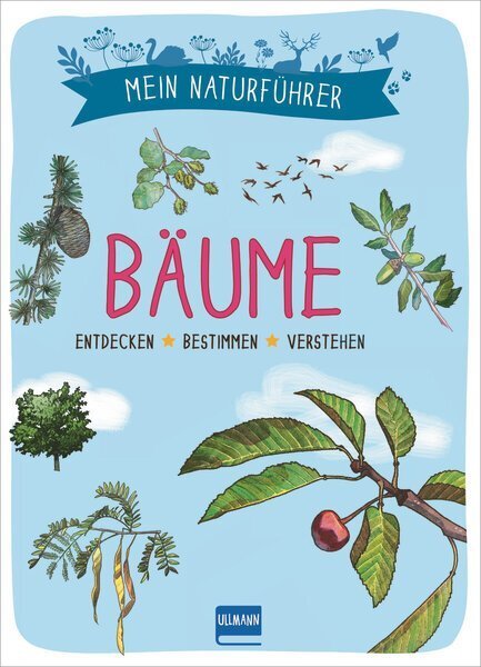 Cover: 9783741524653 | Mein Naturführer - Bäume | Entdecken, bestimmen, verstehen | Japiot