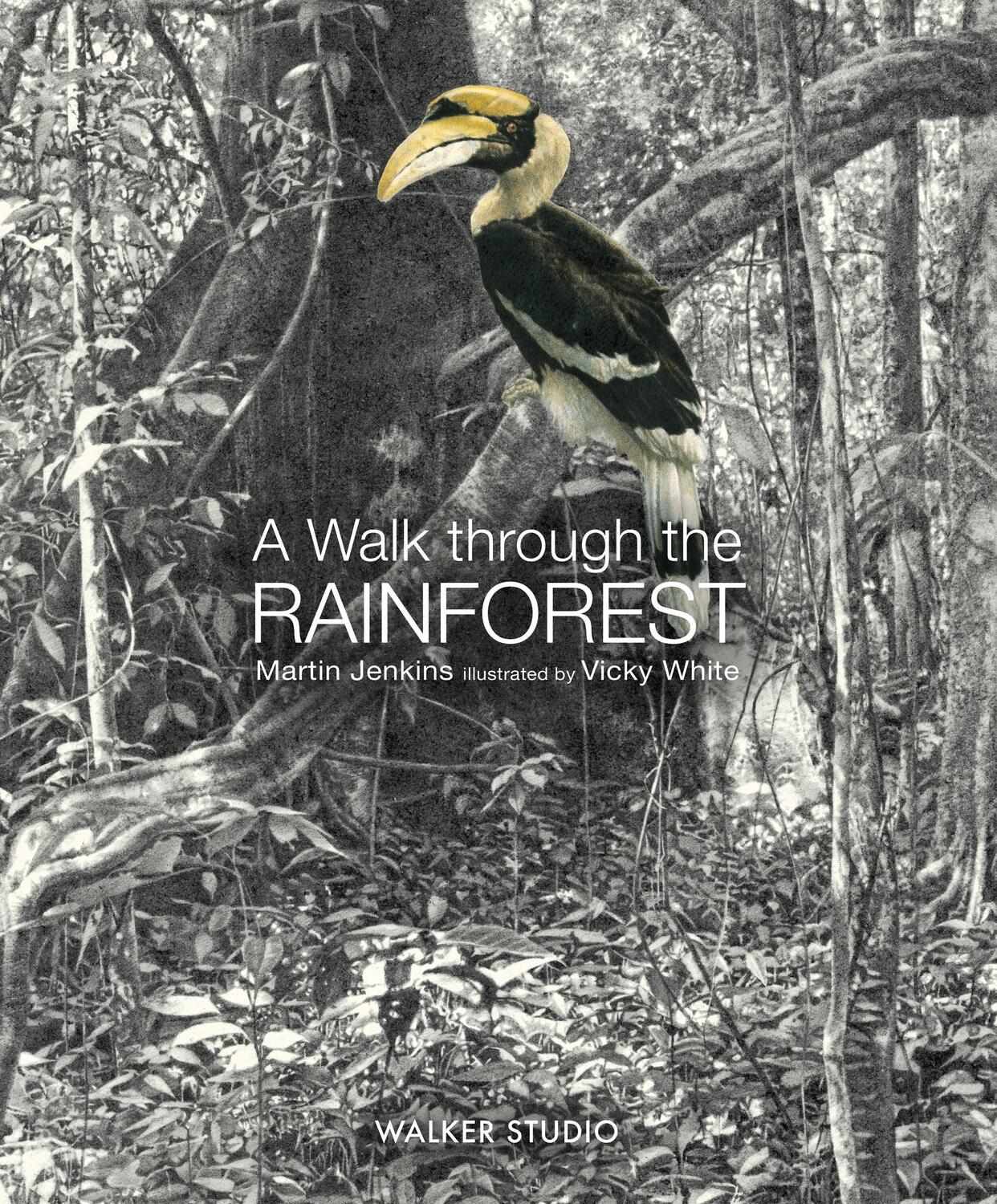 Cover: 9781406331554 | A Walk Through the Rainforest | Martin Jenkins | Buch | Gebunden