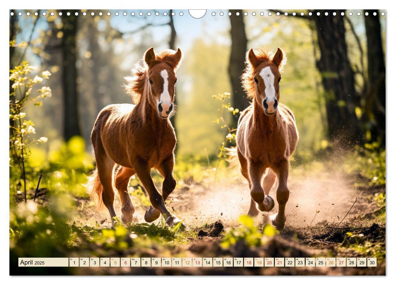 Bild: 9783383836688 | Viele Tiere auf dem Bauernhof (Wandkalender 2025 DIN A3 quer),...