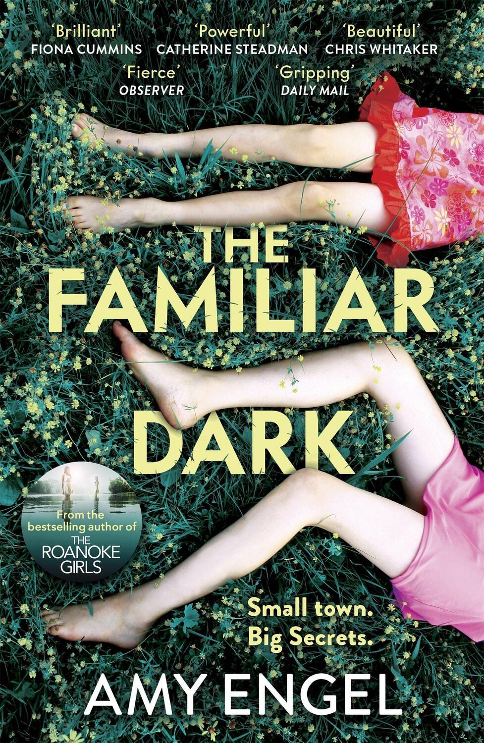 Cover: 9781529368116 | The Familiar Dark | Amy Engel | Taschenbuch | 256 S. | Englisch | 2022