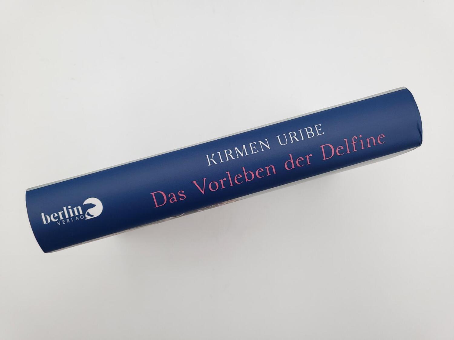 Bild: 9783827014801 | Das Vorleben der Delfine | Kirmen Uribe | Buch | 400 S. | Deutsch