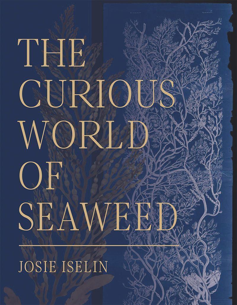 Cover: 9781597144827 | The Curious World of Seaweed | Josie Iselin | Buch | Englisch | 2019