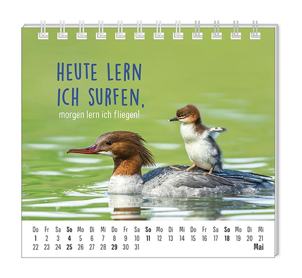 Bild: 9783986361099 | Mini-Kalender 2025 Happymacher | Mini-Kalender | Original | Kalender