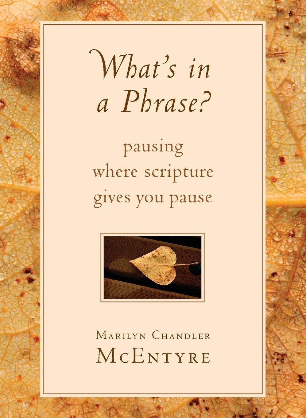 Cover: 9780802871145 | What's in a Phrase? | Pausing Where Scripture Gives You Pause | Buch