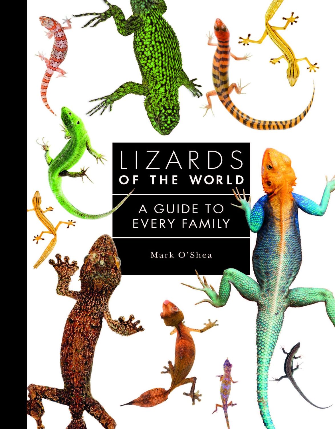 Cover: 9781782409571 | Lizards of the World | A Guide to Every Family | Mark O'Shea | Buch