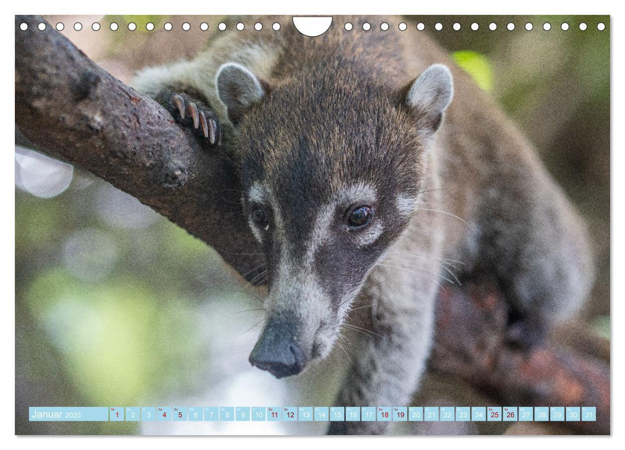 Bild: 9783435000531 | Mexiko - Die wunderschöne Halbinsel Yucatán Fotokalender 2025...