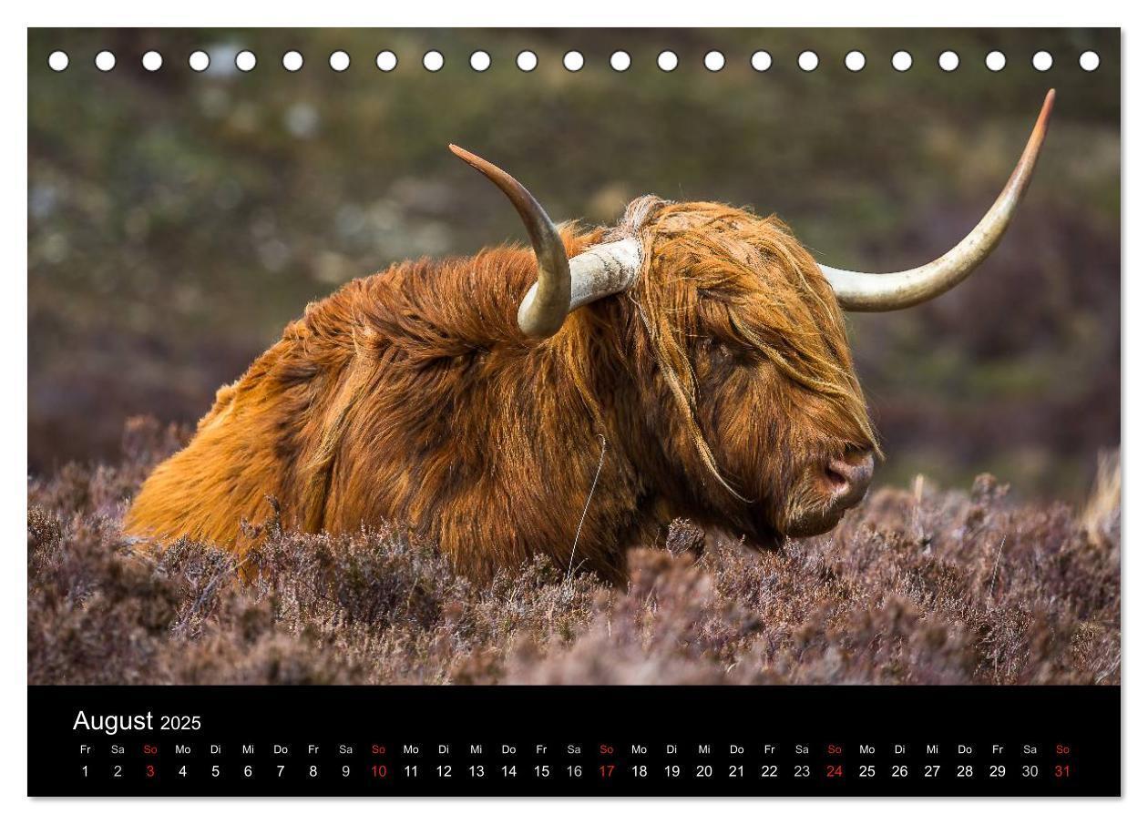 Bild: 9783435568079 | Schottland - Die wundervolle Isle of Skye (Tischkalender 2025 DIN...