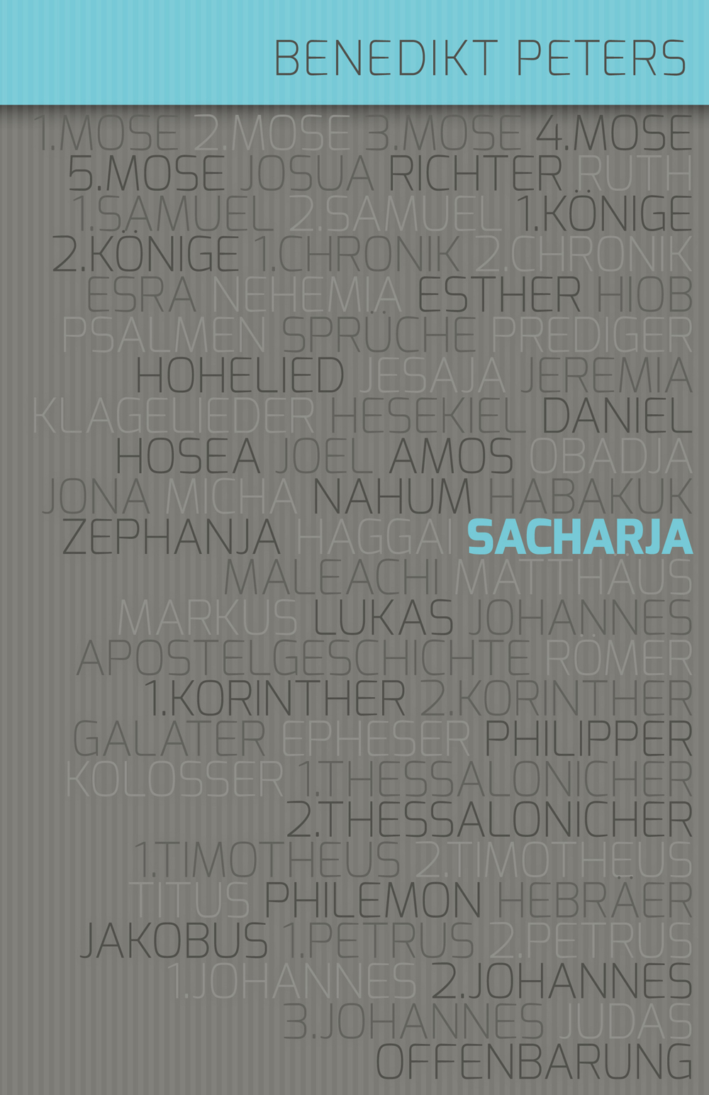 Cover: 9783866993143 | Kommentar zu Sacharja | Der Prophet Sacharja | Benedikt Peters (u. a.)