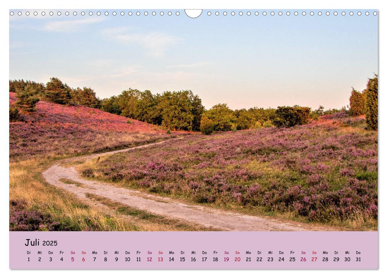 Bild: 9783435030224 | Lüneburger Heide Wege (Wandkalender 2025 DIN A3 quer), CALVENDO...