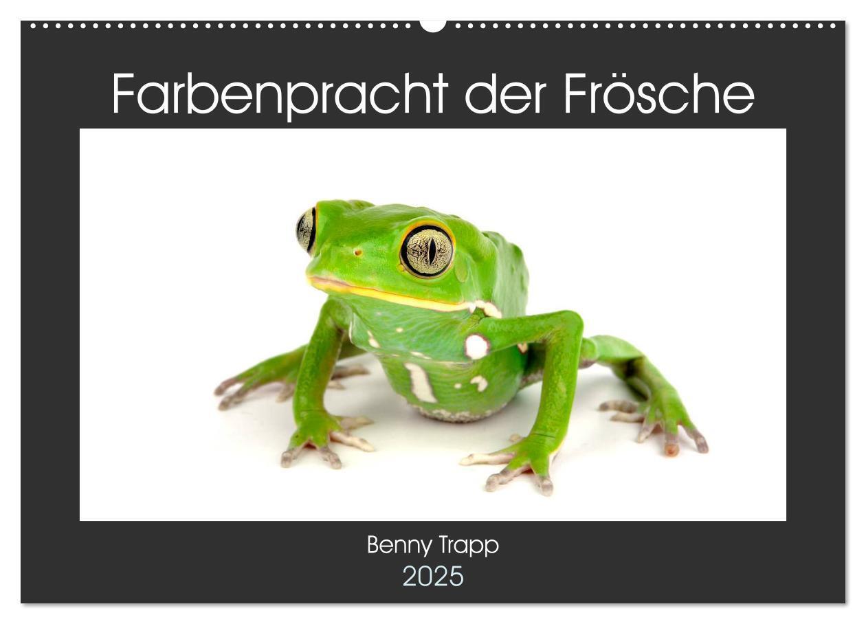 Cover: 9783435398454 | Farbenpracht der Frösche (Wandkalender 2025 DIN A2 quer), CALVENDO...