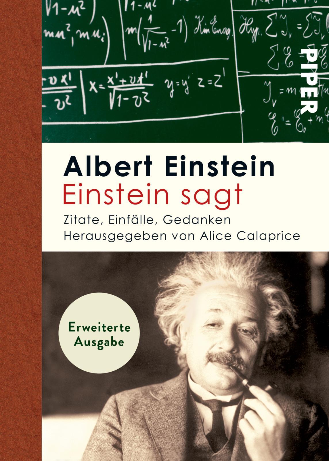 Cover: 9783492250894 | Einstein sagt | Zitate, Einfälle, Gedanken | Albert Einstein | Buch