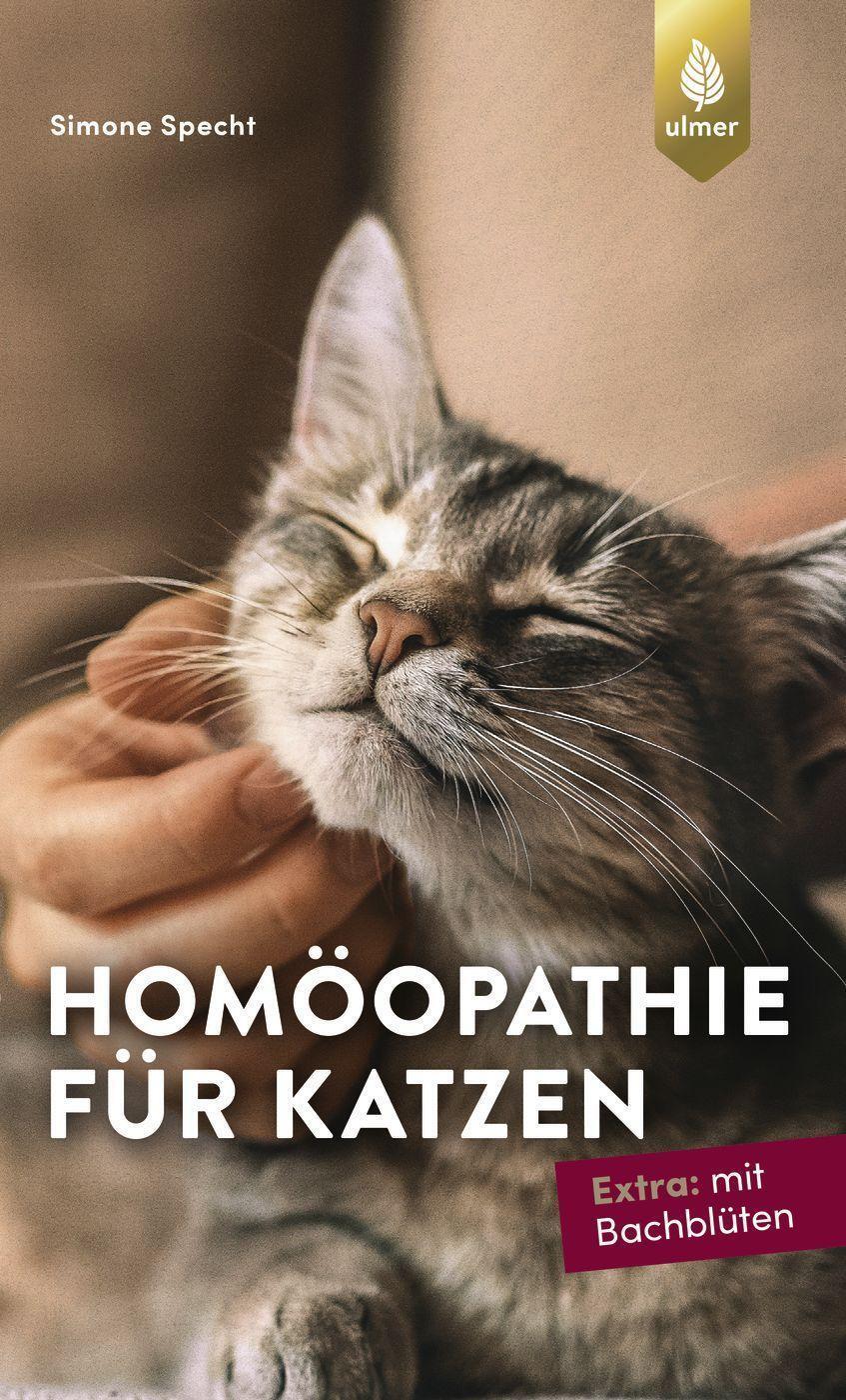 Cover: 9783818615116 | Homöopathie für Katzen | Extra: mit Bachblüten | Simone Specht | Buch