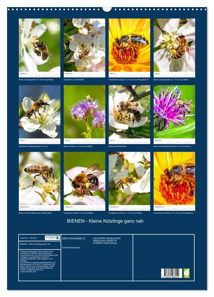 Bild: 9783435966219 | BIENEN - Kleine Nützlinge ganz nah (Wandkalender 2025 DIN A2 hoch),...