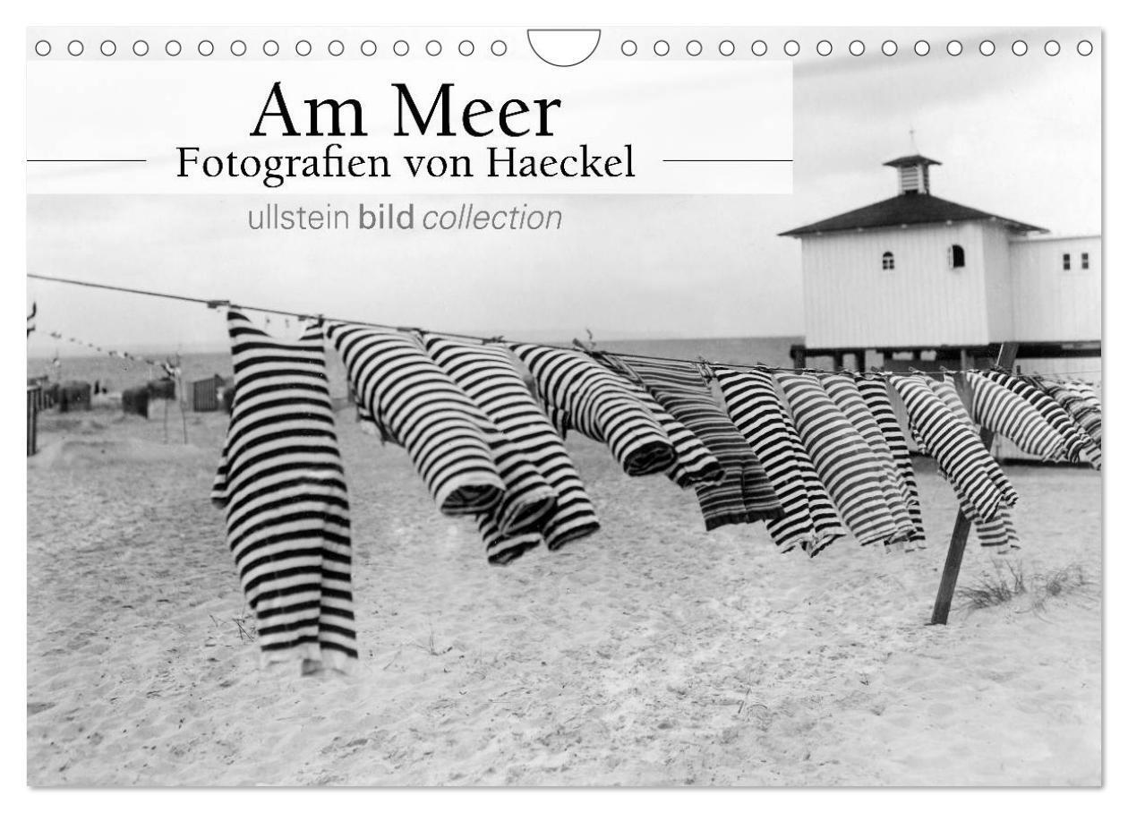 Cover: 9783435584598 | Am Meer - Fotografie von Haeckel (Wandkalender 2025 DIN A4 quer),...