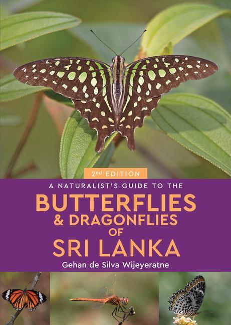 Cover: 9781912081899 | A Naturalist's Guide to the Butterflies of Sri Lanka (2nd edition)