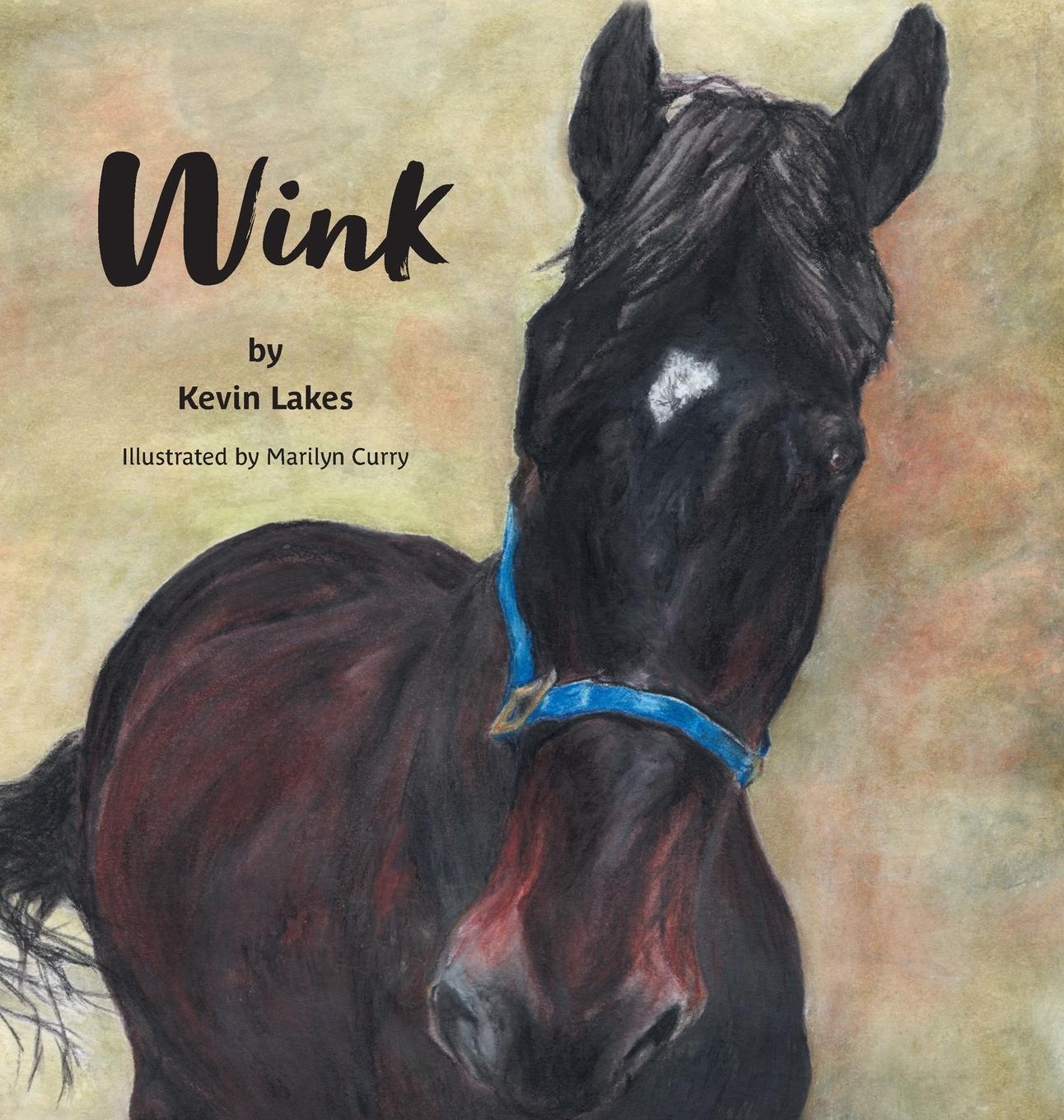 Cover: 9781039155237 | Wink | Kevin Lakes | Buch | HC gerader Rücken kaschiert | Englisch