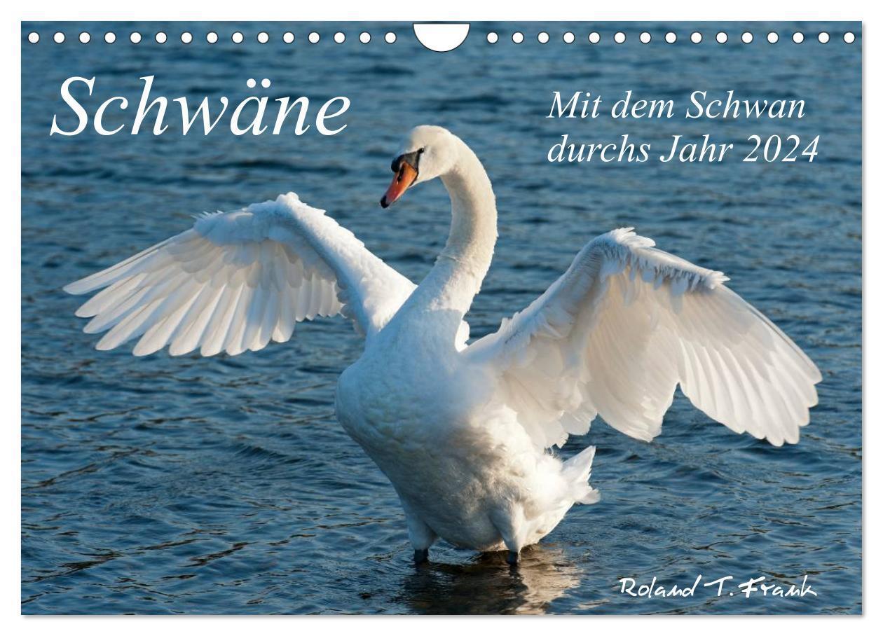 Cover: 9783675965867 | Mit dem Schwan durchs Jahr 2024 (Wandkalender 2024 DIN A4 quer),...