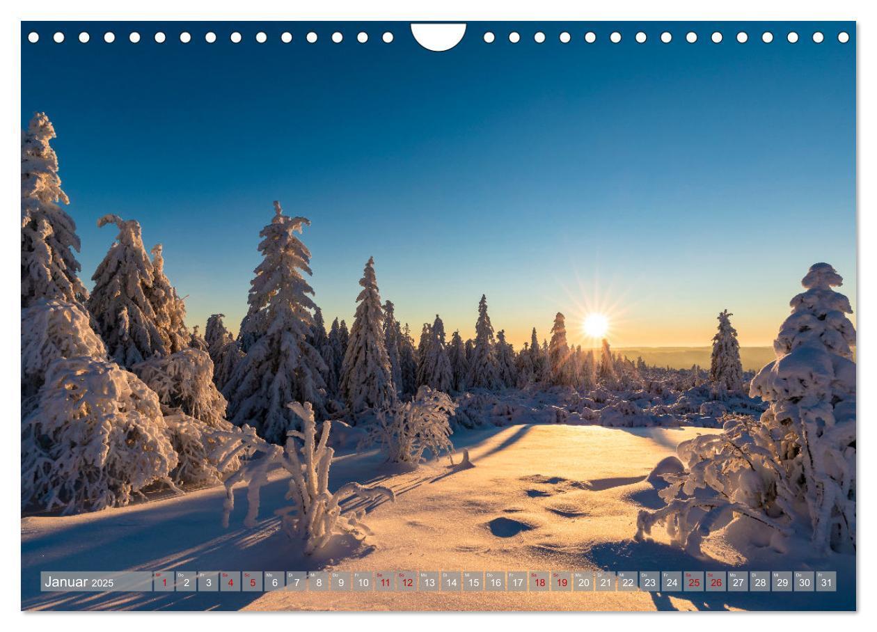 Bild: 9783435077090 | Ein Jahr im Schwarzwald (Wandkalender 2025 DIN A4 quer), CALVENDO...