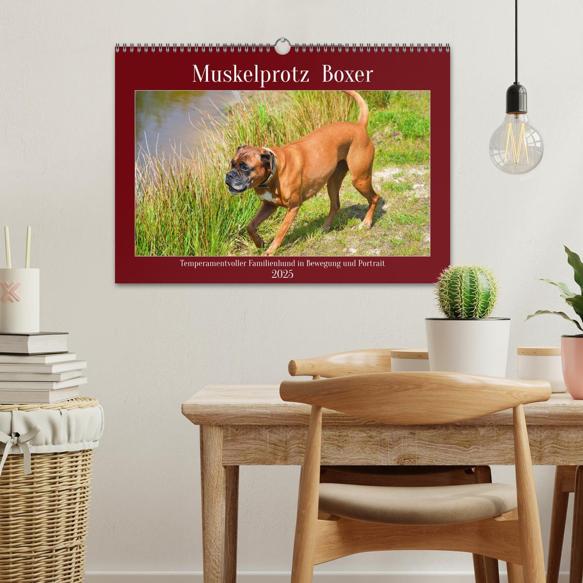 Bild: 9783383947346 | Muskelprotz Boxer (Wandkalender 2025 DIN A3 quer), CALVENDO...