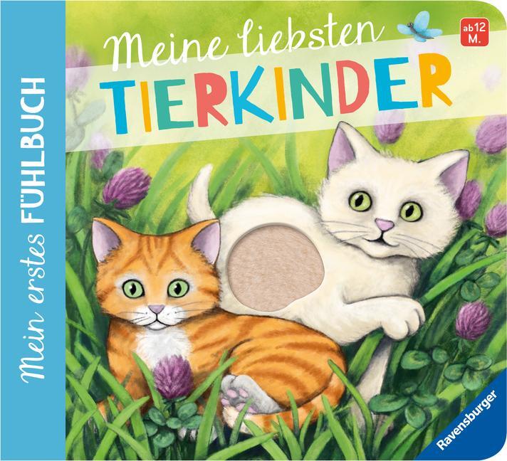 Cover: 9783473418527 | Mein erstes Fühlbuch: Meine liebsten Tierkinder | Sandra Grimm | Buch