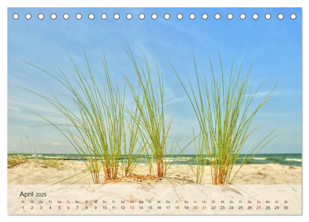 Bild: 9783435502158 | Insel Rügen und Hiddensee (Tischkalender 2025 DIN A5 quer),...