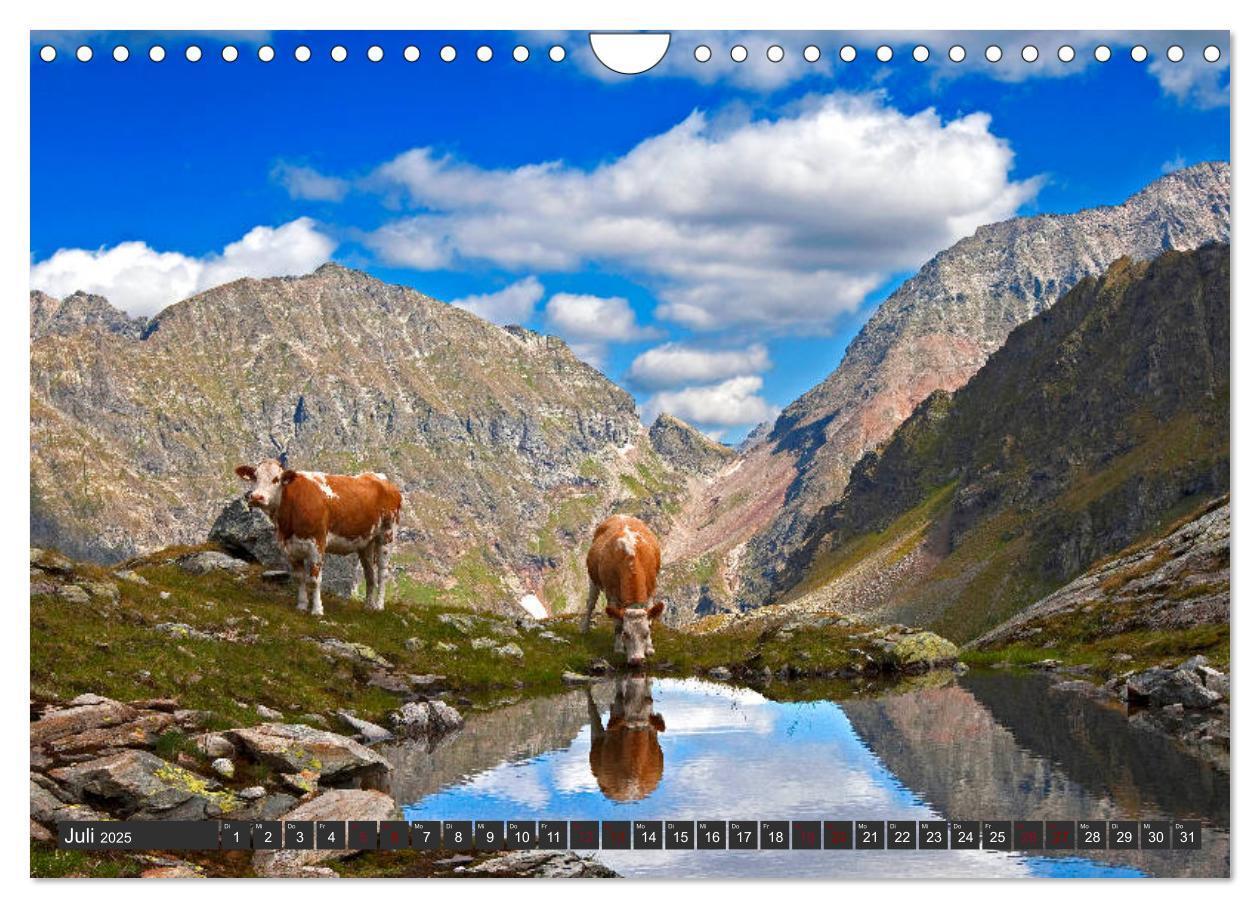 Bild: 9783435386314 | Kimm eina in den Lungau (Wandkalender 2025 DIN A4 quer), CALVENDO...