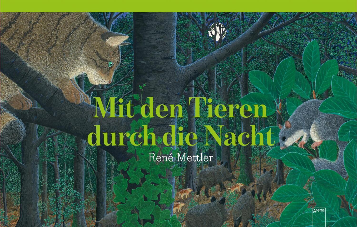 Cover: 9783401716893 | Mit den Tieren durch die Nacht | René Mettler | Buch | 48 S. | Deutsch
