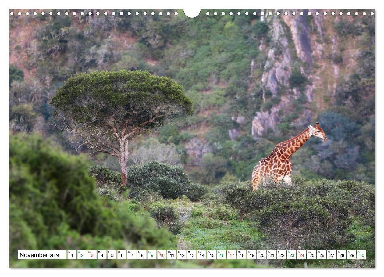 Bild: 9783675470774 | SÜDAFRIKA - Impressionen von der Garden Route (Wandkalender 2024...