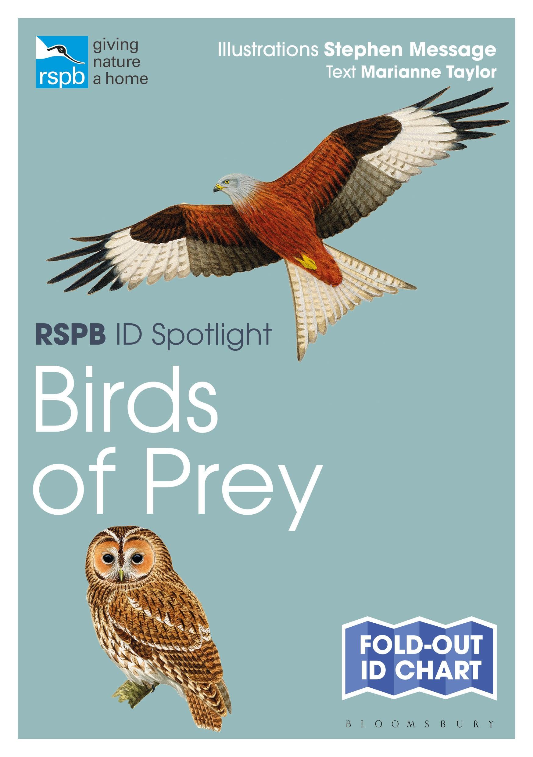 Cover: 9781472974259 | RSPB ID Spotlight - Birds of Prey | Marianne Taylor | Taschenbuch