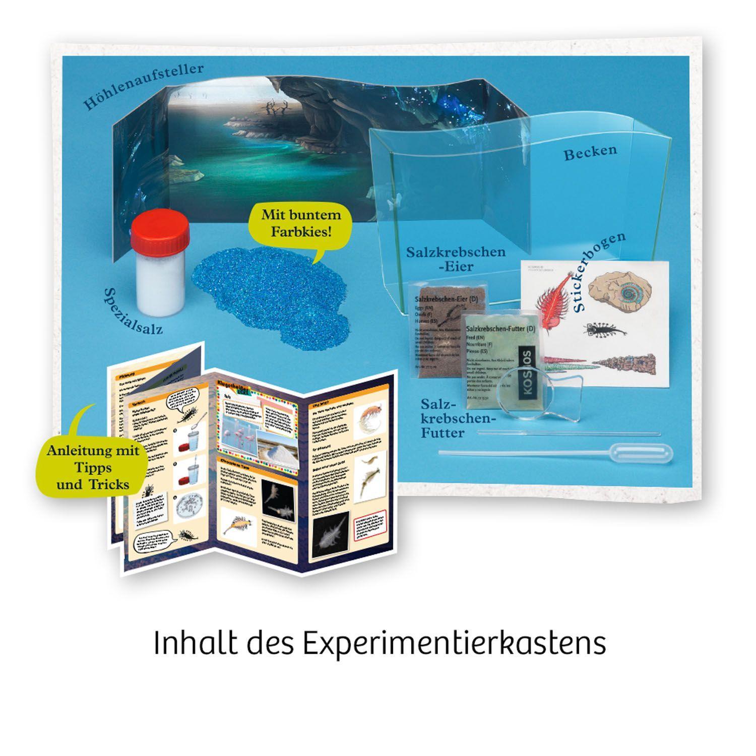 Bild: 4002051654160 | Fun Science Wuselnde Salzkrebse | Experimentierkasten | Spiel | 2019