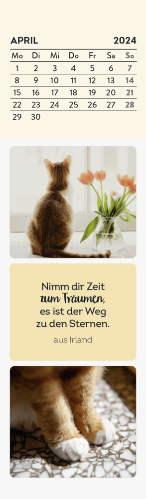 Bild: 4036442010433 | Lesezeichenkalender 2024: Katzenfreunde | Groh Verlag | Kalender