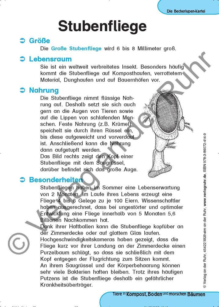 Bild: 9783860724149 | Tiere in Kompost, Boden und morschen Bäumen | Jürgen Dittmann (u. a.)